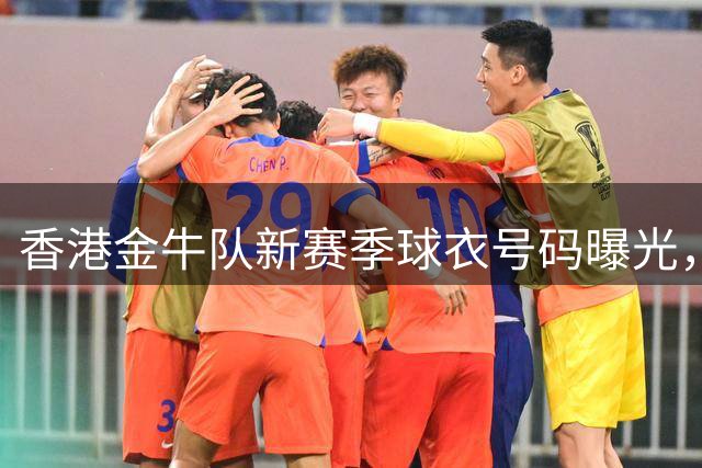 香港金牛队新赛季球衣号码曝光，石奎区骏炫分别披上2号和7号战袍